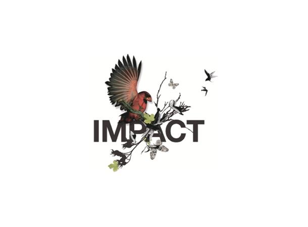 Impact Climate Paper resirkulert 90 gr 450 x 640 mm, rispakket 